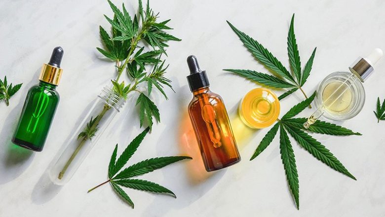 CBD Oil in Pets